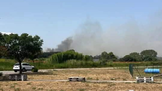 Incendio vicino alla ferrovia, treni fermi  da ore sulla linea Pescara-Bari