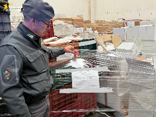 Civitanova Marche – Contraffazione nel settore calzaturiero, denunciati due imprenditori