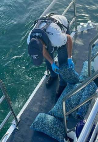 Ancona - Sequestrati 160 chili di vongole: multa da 2mila euro