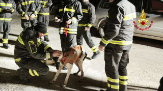 Genga -Salvato cane da caccia disperso nei boschi delle Grotte di Frasassi