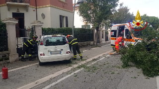 Auto si scontrano e abbattono un albero: donna estratta dalle lamiere