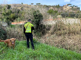 Da Cupra al lago di Gerosa, proseguono le ricerche del papà scomparso