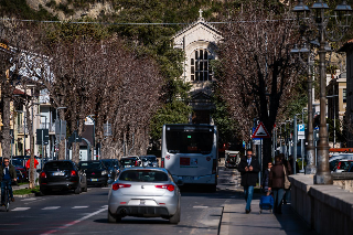 Ascoli Piceno - Incontro pubblico sulla rigenerazione del verde di viale Vellei