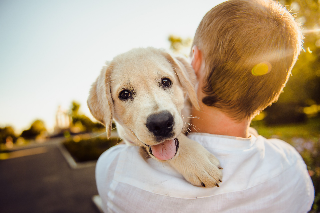 Ancona – Evento benefico per la pet therapy a domicilio per bambini oncologici