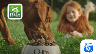 Guida al Risparmio Pet: Come Riconquistare il Budget di Casa con Isola dei Tesori e Hubix Cashback