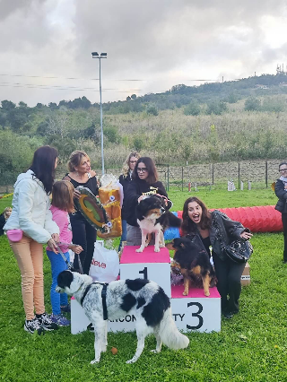 Ancona – “Come due gocce d’acqua”, la somiglianza cane padroncino per le Patronesse