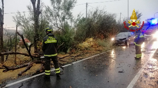 Addio all’afa, arrivano temporali e vento: auto colpita da un albero nel Pesarese