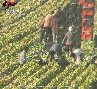 Caporalato nei campi del Maceratese: due denunce