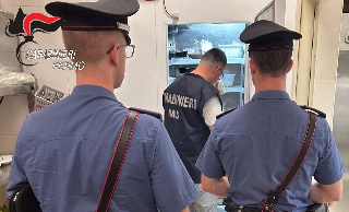 Controlli dei carabinieri nel Fermano: sequestrati molluschi e sanzioni per la sicurezza sul lavoro