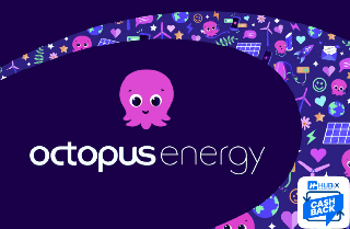 Sostenibilità e Serenità: Illumina la Tua Casa con Hubix e Octopus