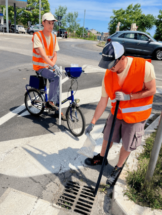 Pesaro - al via campagna di contrasto alla zanzara tigre