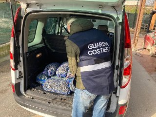 Pescara - Controlli della Guardia costiera, sequestrati 2.200 kg di prodotti
