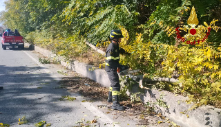Venti di burrasca sulle Marche, 100 interventi dei vigili del fuoco: 30 nel maceratese