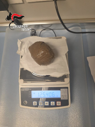 Corropoli - Cane da tartufo trova 270 grammi di cocaina nascosti nel bosco