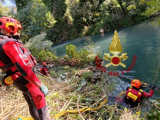 Bussi sul Tirino, albero caduto nel fiume: intervento dei Vigili del Fuoco
