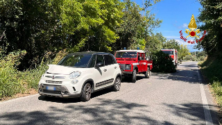 Civitanova - Albero piomba su un’auto in transito, soccorso l’autista