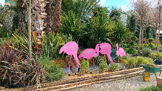 Euroflora 2025, trionfo per le Marche: «Giardino Infinito» firmato Traini Ecoservices