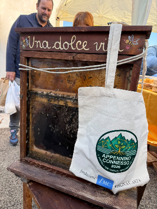 Dai borghi delle Marche al Mercato Globale: il digitale per rilanciare l’Agroalimentare