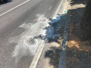 Pesaro, scooter contro albero: muore 23enne