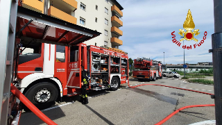 Incendio divora un’abitazione: vigili del fuoco salvano 7 gatti