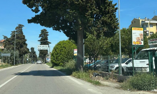 Tortoreto - Auto contro albero, morto 20enne residente nel Piceno