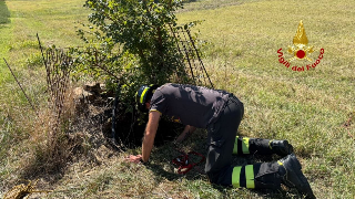 Per salvare il cane cade in un pozzo di 5 metri: doppio recupero a Tolentino
