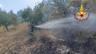 Arcevia - Vasto incendio divora terreno agricolo