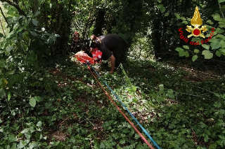 Roccafluvione - Precipita in un dirupo, sofisticato intervento dei vigili del fuoco