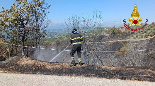 Ascoli Piceno - Dopo la paura, incendio domato a Colonnata: si allontana ipotesi del dolo