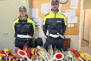 Venditore abusivo, Polizia sequestra 70 mazzi di mimose