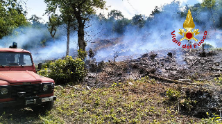 Montegallo - Incendio in un bosco di frazione Forca