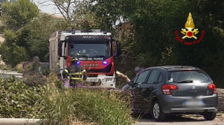 Ancona - Albero cade su auto in via Saline: intervento dei vigili del fuoco
