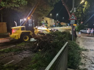 Pesaro - Decine di interventi per liberare le strade, Biancani: "Eventi estremi sempre più frequenti"