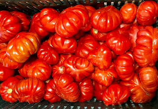 Avviso pubblico del Gal Costa dei Trabocchi  per aziende agroalimentari biologiche abruzzesi e molisane