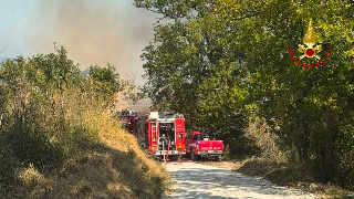 Lapedona - Incendio boschivo in contrada Saltereccio: vigili del fuoco al lavoro