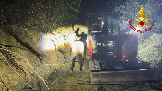 Castorano - Due cavalli scivolano in un burrone, recuperati nella notte