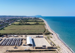 Fieracavalli Riding by the Sea, Porto Sant’Elpidio diventa capitale dell’ippica