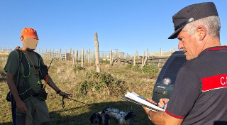 Caldarola - Corvo imperiale allevato fin da piccolo ucciso a fucilate: cacciatore denunciato
