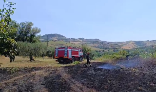 Incendio a San Nicolò a Tordino: oltre un ettaro in fiamme, minacciata un’azienda