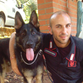 Cerreto d’Esi - Tragedia alla Festa dell’Uva: carabiniere muore per un malore improvviso