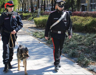 Spacciavano eroina e cocaina nel parco: arrestati due giovani pregiudicati 