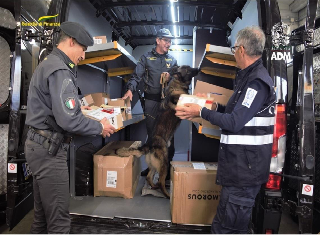 Ancona - Lotta al narcotraffico: controlli e sequestri della Finanza