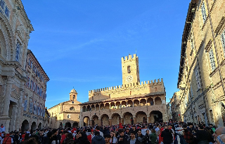 Offida - Bove finto, sequestrati 150 chili di alimenti non tracciati
