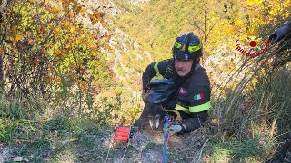 Cagli - Salvata "Nera": la cagnolina recuperata da una scarpata di 90 metri