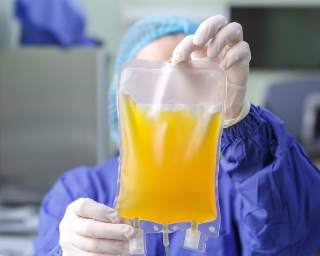 Sacche di plasma sprecate, polemica nelle Marche, Calcinaro: “Verifichiamo, ma numeri montati"