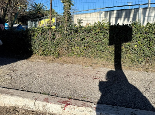 San Benedetto del Tronto - Maxirissa in centro, sono tre i feriti