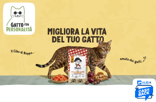 Coccole e Benessere: Vizia il Tuo Micio con Hubix e Gatto con personalità