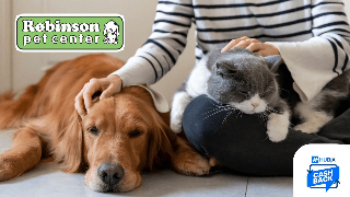 Cashback Robinson Pet Shop: Come Risparmiare sui Prodotti per Animali con Hubix