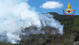 Caldarola - Bosco in fiamme, vigili del fuoco al lavoro