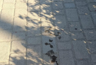 "Mio nipote aggredito con casco e coltello", 18enne ferito alla rotonda di Porto d’Ascoli